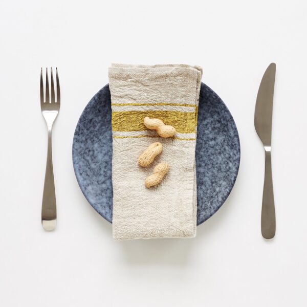 Roxder Linen Tales Linen Napkins