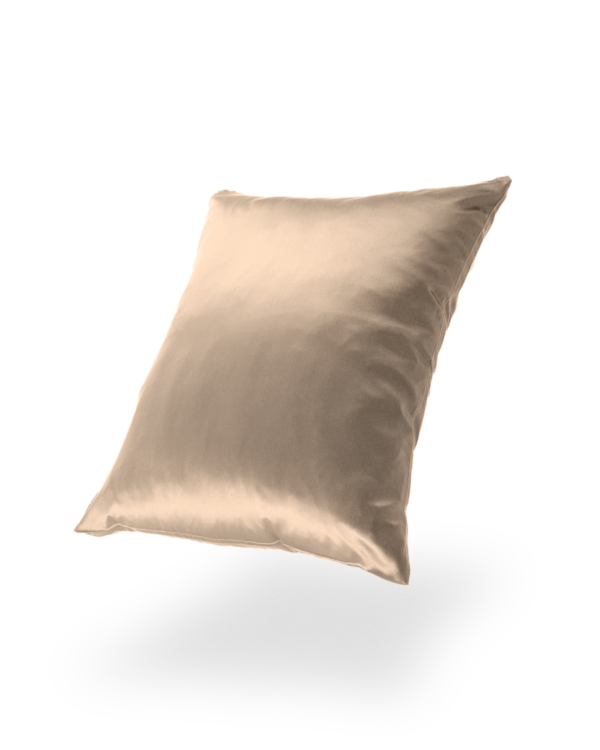 Murberry Silk Pillowcase with Zipper, 22 Momme, 50×60