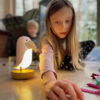 Lamp with Speaker - Pink Bird