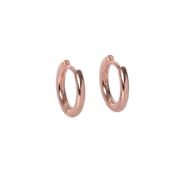 Classy Small Hoops – Rose Gold and Silver