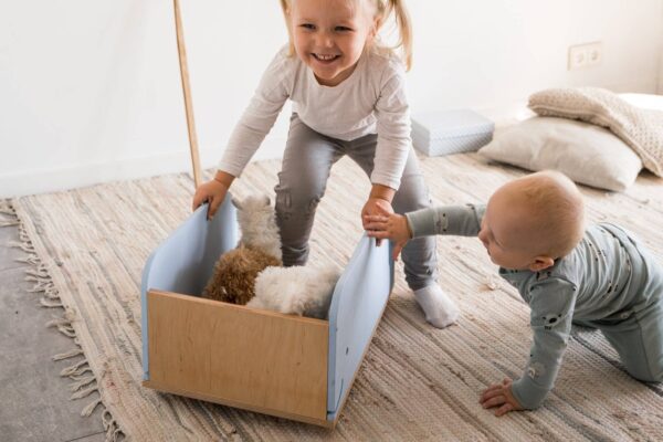 Kids Toy Storage Box on Wheels – Whale