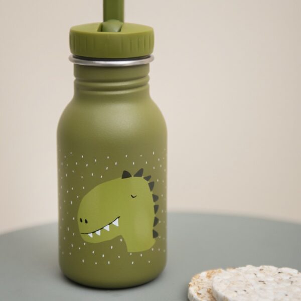 Stainless Steel Bottle 350 ml – Mr Dino