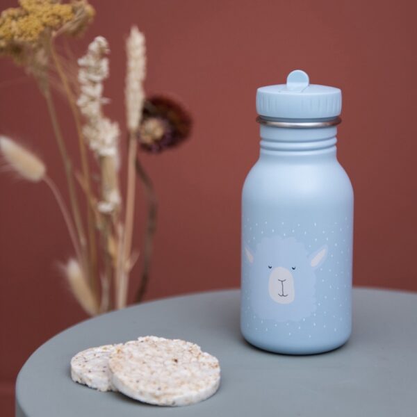 Stainless Steel Bottle 350 ml – Mr Alpaca