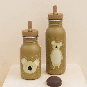 Stainless Steel Bottle 500 ml – Mr Koala