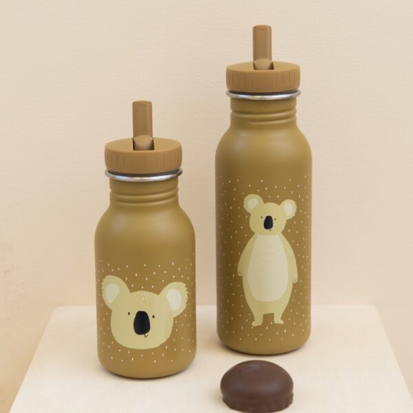 Stainless Steel Bottle 500 ml – Mr Koala