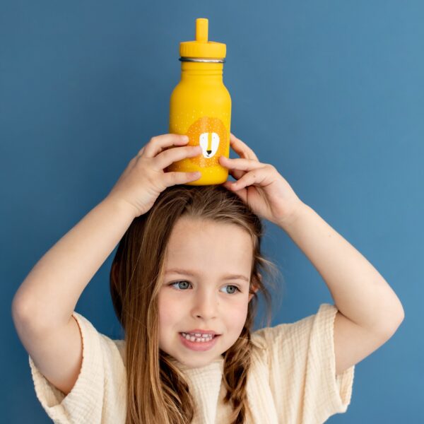 Stainless Steel Bottle 350 ml – Mr Lion