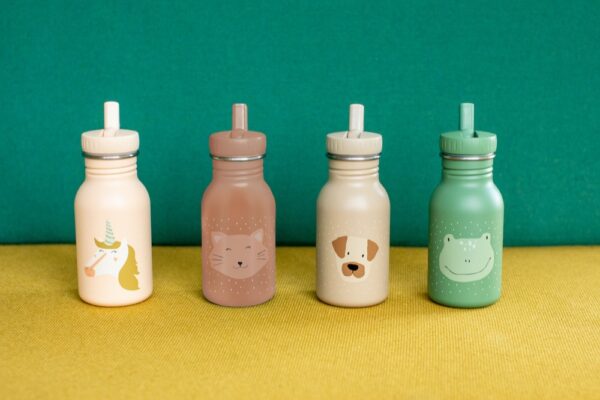 Stainless Steel Bottle 350 ml – Mr Dog