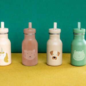 Stainless Steel Bottle 350 ml – Mr Frog