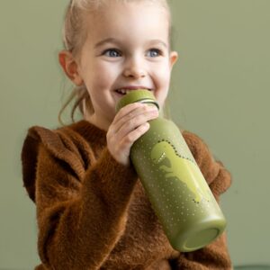 Stainless Steel Bottle 500 ml – Mr Dino