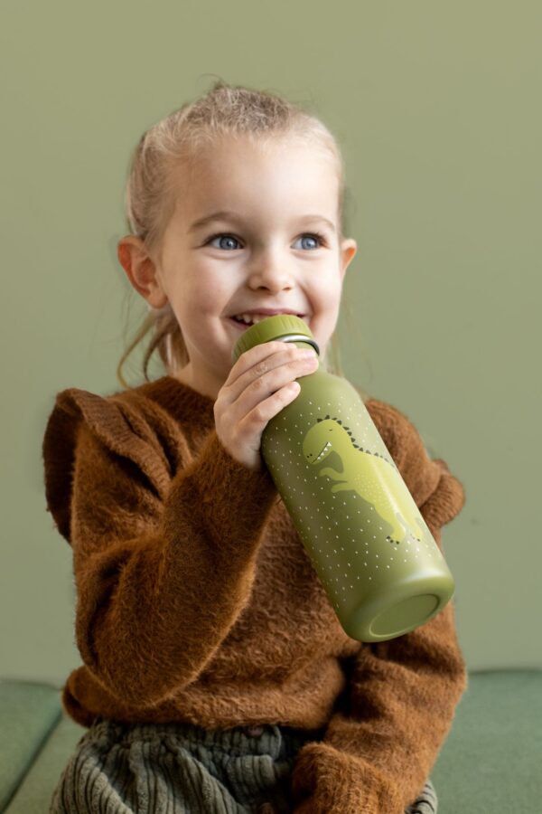 Stainless Steel Bottle 500 ml – Mr Dino