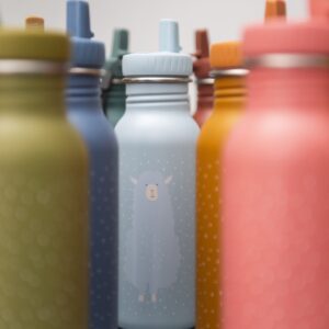 Stainless Steel Bottle 500 ml – Mr Alpaca