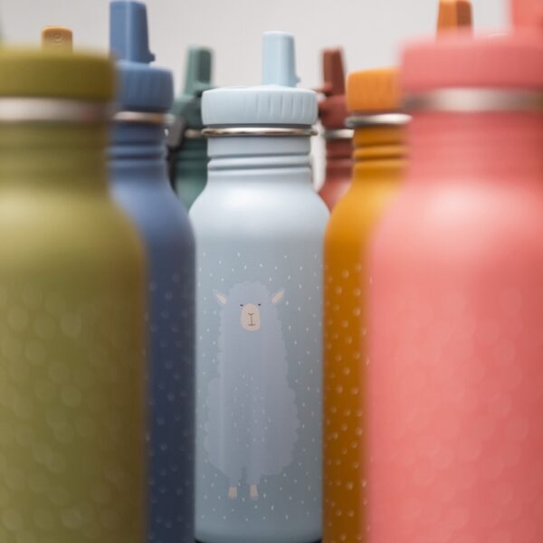 Stainless Steel Bottle 500 ml – Mr Alpaca
