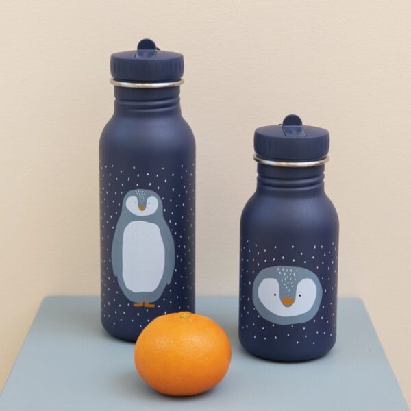Stainless Steel Bottle 500 ml – Mr Penguin