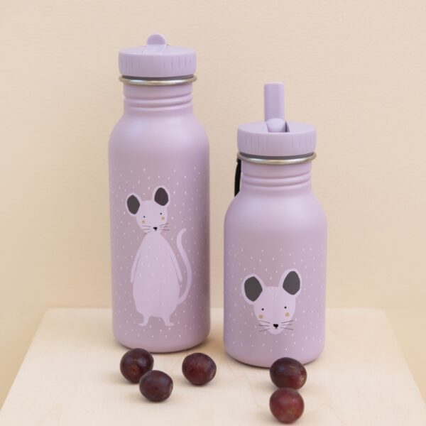 Stainless Steel Bottle 350 ml – Mrs Mouse