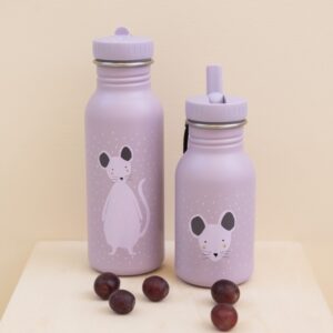 Stainless Steel Bottle 500 ml – Mrs Mouse