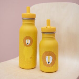 Stainless Steel Bottle 500 ml – Mr Lion