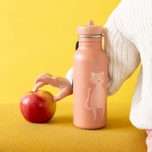 Stainless Steel Bottle 500 ml – Mrs Cat