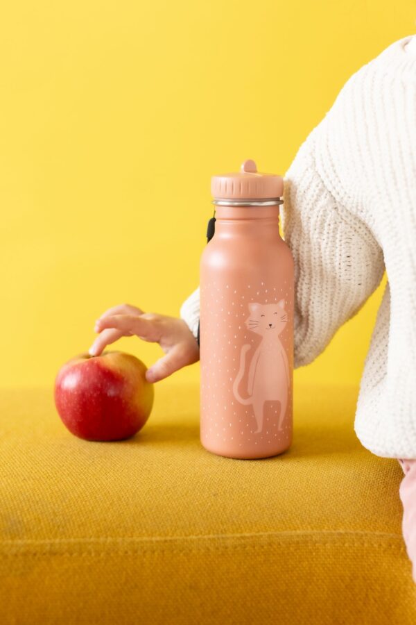 Stainless Steel Bottle 500 ml – Mrs Cat