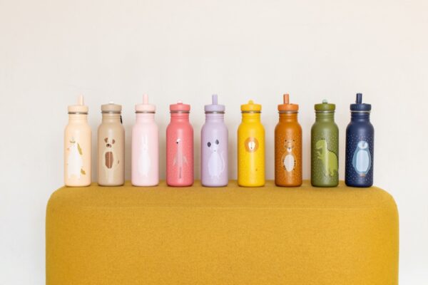 Stainless Steel Bottle 500 ml – Mr Dog