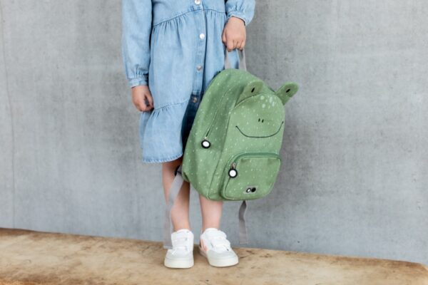 Backpack – Mr Frog