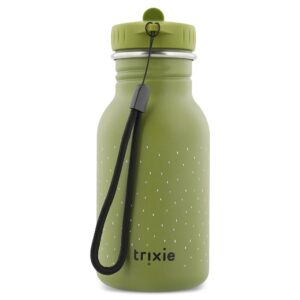 Stainless Steel Bottle 350 ml – Mr Dino