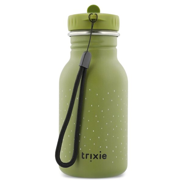 Stainless Steel Bottle 350 ml – Mr Dino