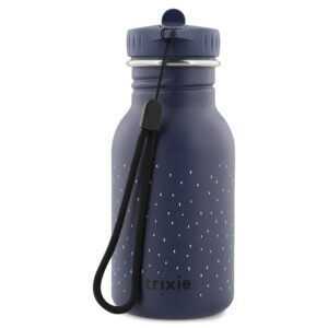 Stainless Steel Bottle 350 ml – Mr Penguin