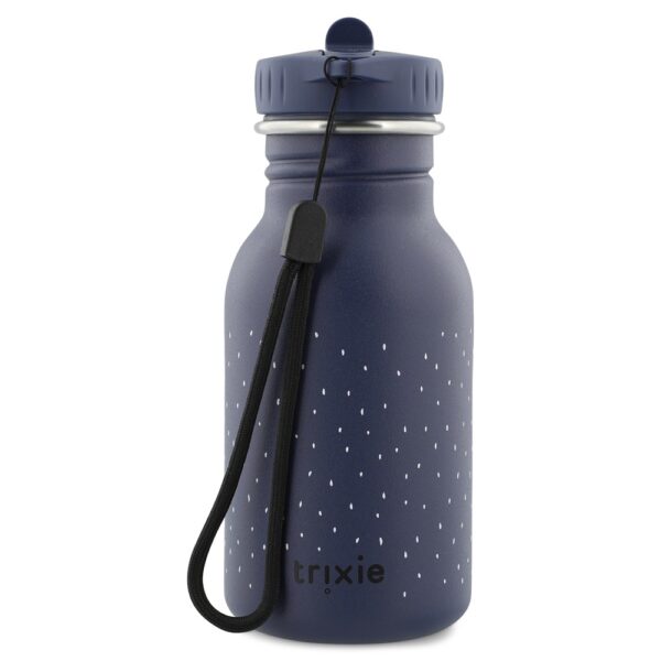Stainless Steel Bottle 350 ml – Mr Penguin