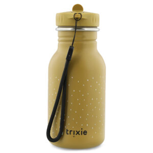 Stainless Steel Bottle 350 ml – Mr Koala