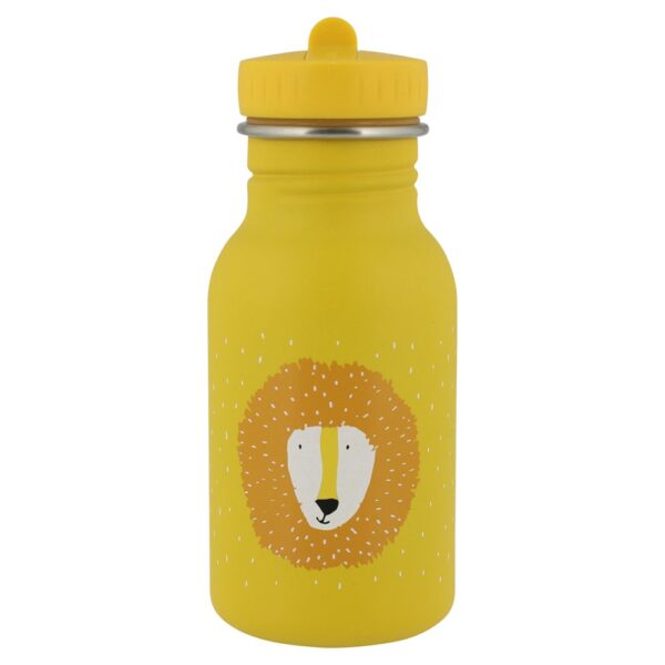 Stainless Steel Bottle 350 ml – Mr Lion