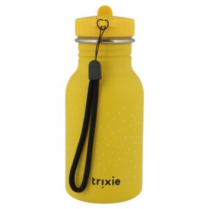Stainless Steel Bottle 350 ml – Mr Lion