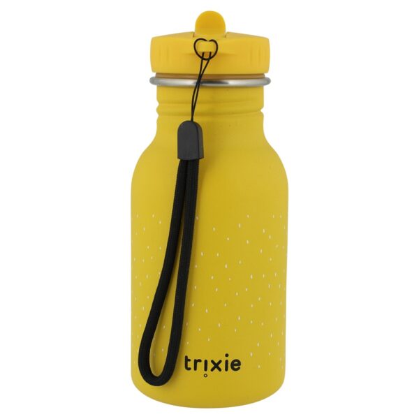 Stainless Steel Bottle 350 ml – Mr Lion