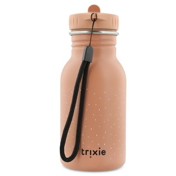 Stainless Steel Bottle 350 ml – Mrs Cat