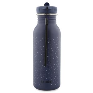 Stainless Steel Bottle 500 ml – Mr Penguin