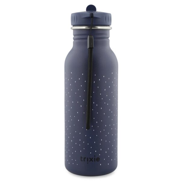 Stainless Steel Bottle 500 ml – Mr Penguin
