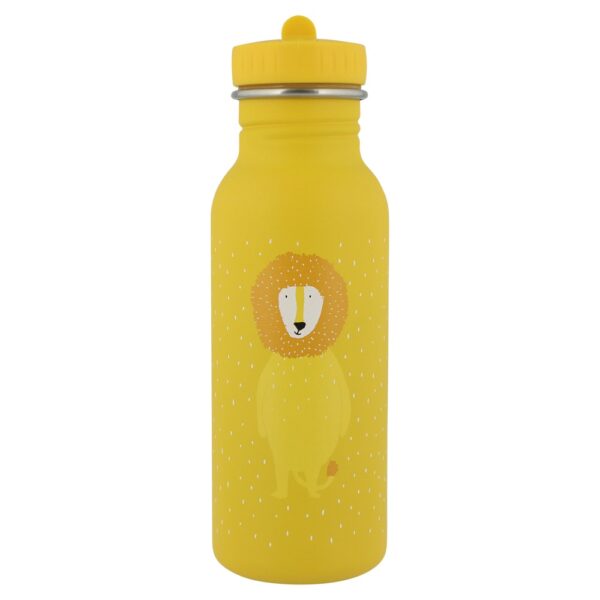 Stainless Steel Bottle 500 ml – Mr Lion