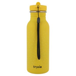 Stainless Steel Bottle 500 ml – Mr Lion