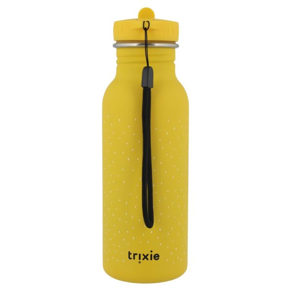 Stainless Steel Bottle 500 ml – Mr Lion