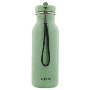 Stainless Steel Bottle 500 ml – Mr Frog
