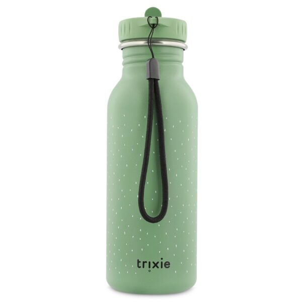 Stainless Steel Bottle 500 ml – Mr Frog