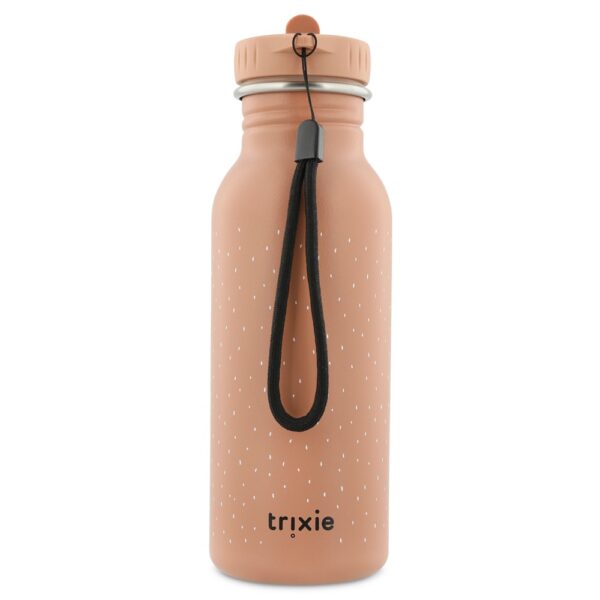 Stainless Steel Bottle 500 ml – Mrs Cat