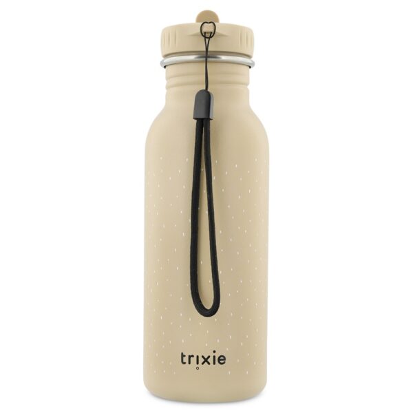 Stainless Steel Bottle 500 ml – Mr Dog