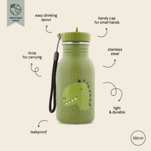 Stainless Steel Bottle 350 ml – Mr Dino