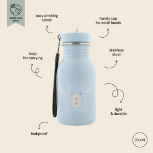 Stainless Steel Bottle 350 ml – Mr Alpaca