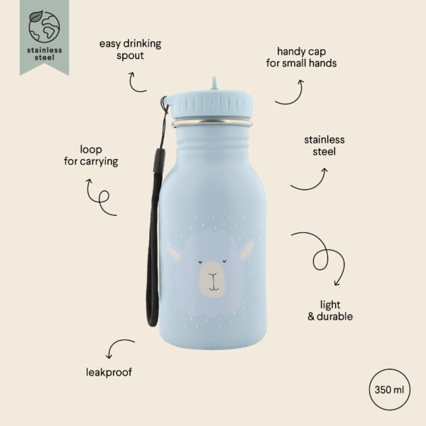 Stainless Steel Bottle 350 ml – Mr Alpaca