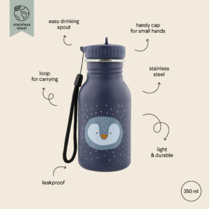 Stainless Steel Bottle 350 ml – Mr Penguin
