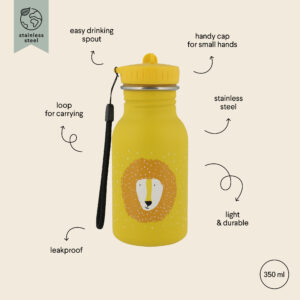 Stainless Steel Bottle 350 ml – Mr Lion