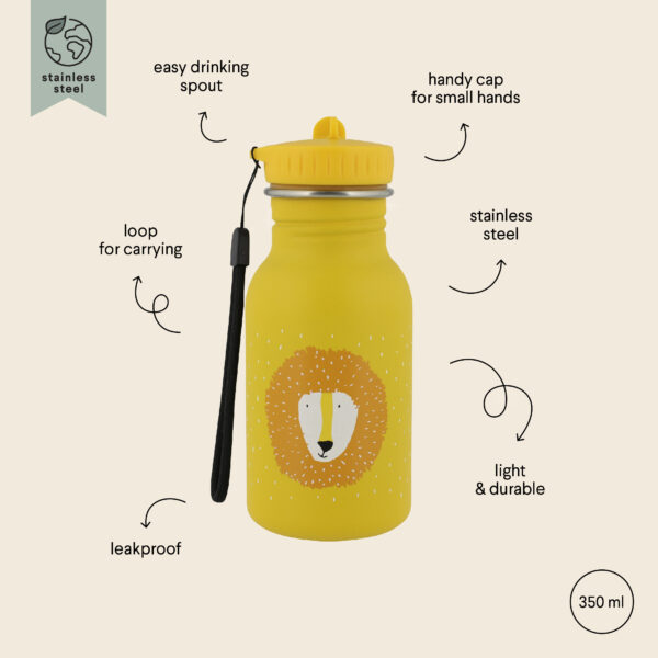 Stainless Steel Bottle 350 ml – Mr Lion