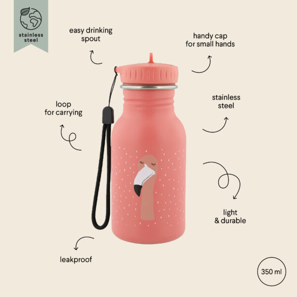 Stainless Steel Bottle 350 ml – Mrs Flamingo
