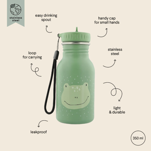 Stainless Steel Bottle 350 ml – Mr Frog